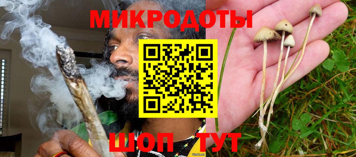 Галлюциногенные грибы прущие грибы Новоуральск